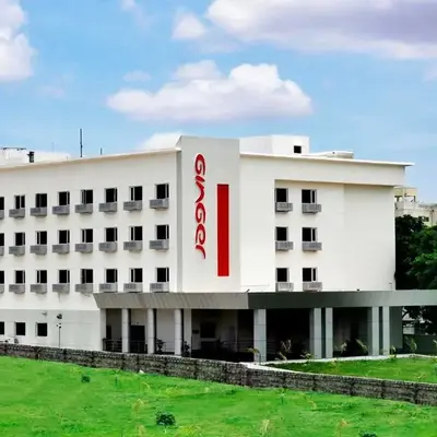 Ginger Tirupur