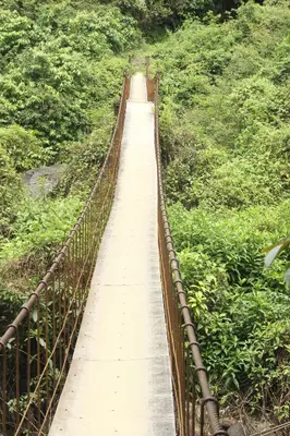 a suspension bridge in the middle of a forest at The Hillock-quiet by the Mountains in Vallikavungal