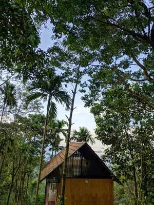 a small building in the middle of some trees at The Hillock-quiet by the Mountains in Vallikavungal