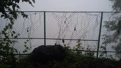 a chain link fence with birds perched on it at The Hillock-quiet by the Mountains in Vallikavungal