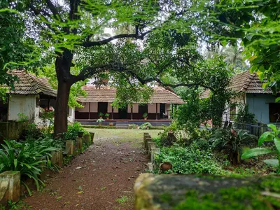 a house with a tree in the middle of a yard at Meadows in Trichūr