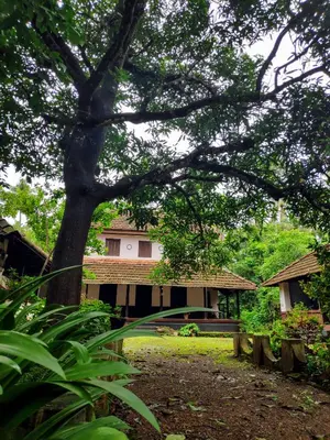 a large tree in front of a house at Meadows in Trichūr