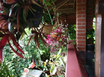 a garden with flowers and plants on a porch at The Four Seasons in Kalpetta