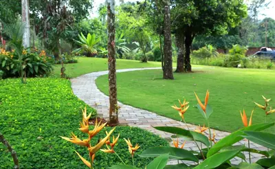 a walkway in a park with trees and grass at Vythiri Village in Vythiri