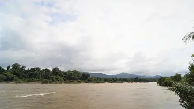 a view of the river from a boat at Whispering Waters in Malayāttūr
