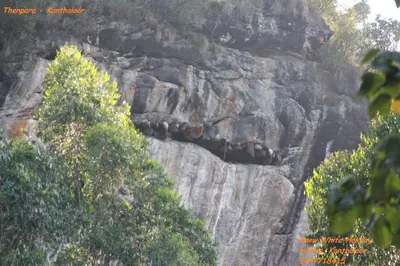 a rock cliff with a group of animals on it at Kanthalloor Homestay Snow White Holiday Homes in Kanthalloor
