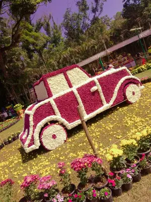 a field of flowers with a pink and white carriage at Dreams Home Estate Stay in Suntikoppa