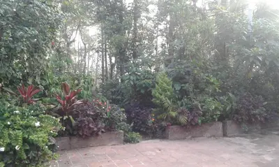 a garden with a bunch of plants and trees at Dreams Home Estate Stay in Suntikoppa