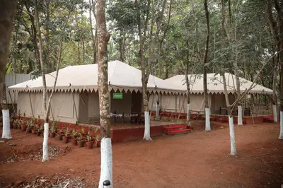 a large tent in the middle of a forest at Anamala Serenity Homestay Kerala in Lakkidi