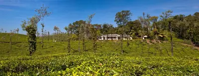 a house on a hill in a green field at Ama Plantation Trails Coorg in Gonikoppal