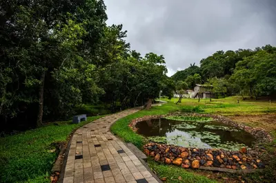 a brick path around a pond in a park at Abad Brookside Wayanad in Vythiri