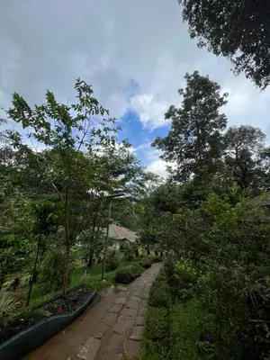a stone path through a garden with trees at Abad Brookside Wayanad in Vythiri