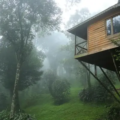 Nature Zone Jungle Resort- Experience the Wilderness & Adventure