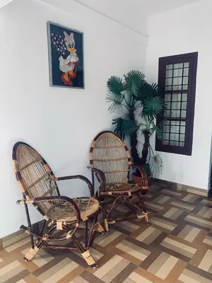 two chairs and a plant in a room at Deluxe Residency in Kalpetta