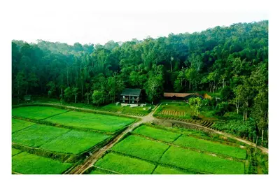 an aerial view of a house in the middle of a field at Vayal Veedu in Muthanga