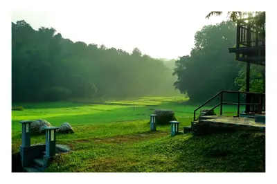 a grassy field with stairs and rocks in the grass at Vayal Veedu in Muthanga