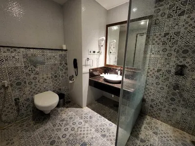 a bathroom with a toilet and a sink and a shower at Hotel Preethi International in Mysore