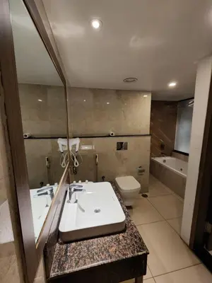 a bathroom with a sink and a toilet at Hotel Preethi International in Mysore