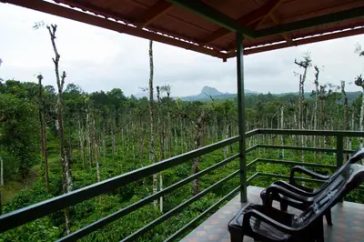 a porch with two benches looking out at a forest at THE SUVISTARA WAYANAD KERALA in Meenangadi