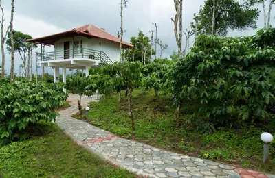 a house on top of a hill with a walkway at THE SUVISTARA WAYANAD KERALA in Meenangadi