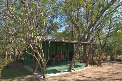 a green house in the middle of trees at Bamboo Banks Farm & Guest House in Masinagudi