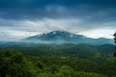 a mountain in the middle of a valley with trees at Zostel Plus Wayanad in Kalpetta