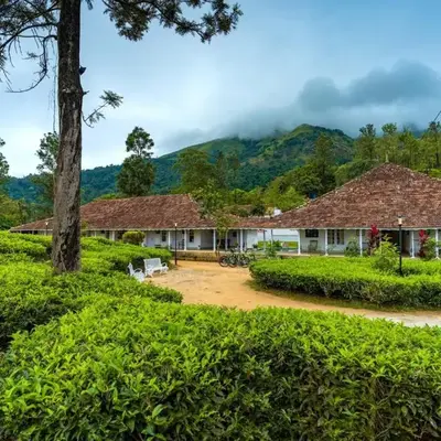 Zostel Plus Wayanad