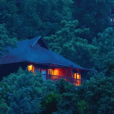 The Tamara Coorg