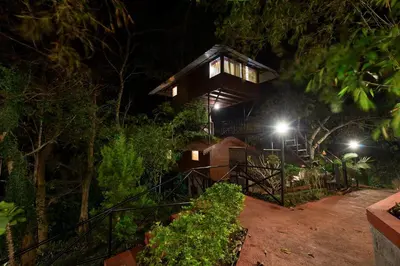 a tree house in the forest at night at The Porcupine Castle Resort in Madikeri