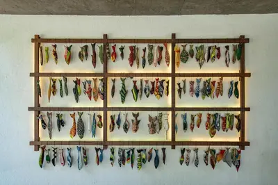 a wall with a display of different types of feathers at StayVista at Toya Toya River View in Kozhikode