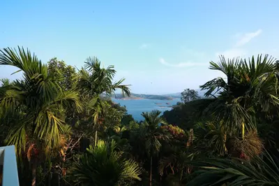 a view of a body of water with palm trees at Bonita Banasura in Vythiri