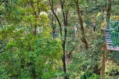 three people on a zip line in the forest at Coorg Wilderness Resort & Spa in Madikeri
