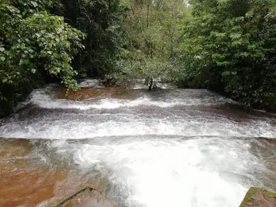 a river with rapids in the middle of a forest at Family villa .hut in Tariyod