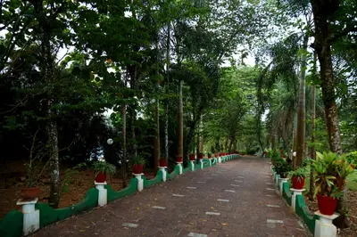 a path in a park with trees and potted plants at Wayanad Cave N Pillar Resort in Sultan Bathery
