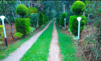 a dirt road in a garden with green bushes at Coorg amodhini in Madikeri