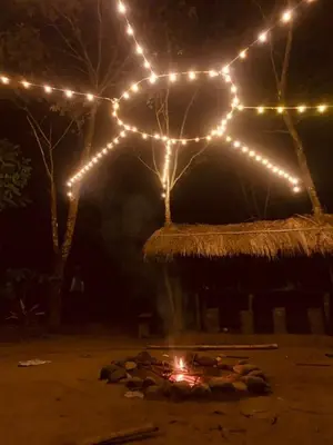 a bunch of lights on a tree with a fire at kailasa stays in Chekadi