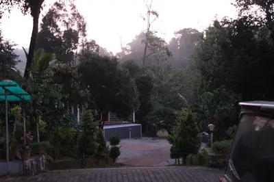 a view of a driveway with trees and a car at Siddhi Aloha in Madikeri