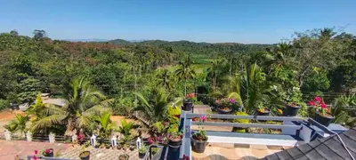 an aerial view of a garden with plants and trees at Viewpointwayanad in Mananthavady