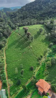 an aerial view of a large green field with a house at Janiro Tea Trees Villas in Vythiri