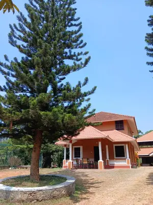 a pine tree in front of a house at Janiro Tea Trees Villas in Vythiri