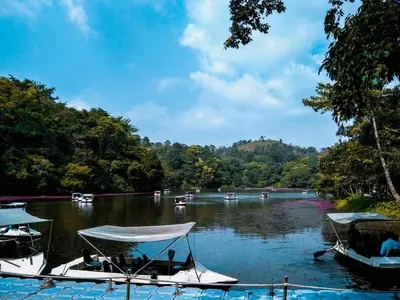 a group of boats on a river with trees at Wayanad Snow Vibes in Vythiri