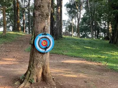 a frisbee tied to a tree in a park at 900 Woods Wayanad Eco Resort - A Sprawling Jungle Stay near Glass Bridge in Meppādi