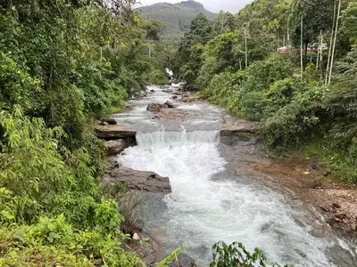 a river with rapids in the middle of a forest at 900 Woods Wayanad Eco Resort - A Sprawling Jungle Stay near Glass Bridge in Meppādi