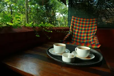 a tray with three cups of coffee on a table at Grassroots Wayanad, Valley-view Tents in Vythiri