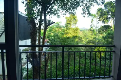 a balcony with a view of a tree at Grand Misty Heaven in Madikeri
