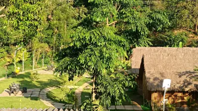 an overhead view of a tree and a building at Ibni Springs in Madikeri