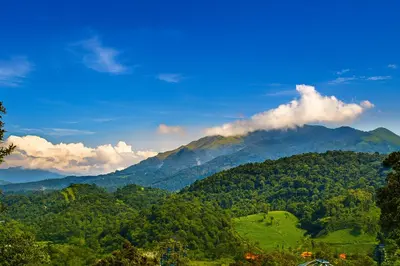 auliculiculiculiculiculiculiculiculiculiculiculiculiculiculic at Vythiri Silver Mist Hilltop Villa By VOYE HOMES in Vythiri