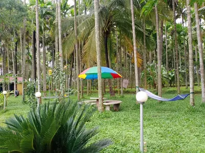 a hammock and a colorful umbrella in a park with palm trees at KABINI FARM STAY in Antarasante
