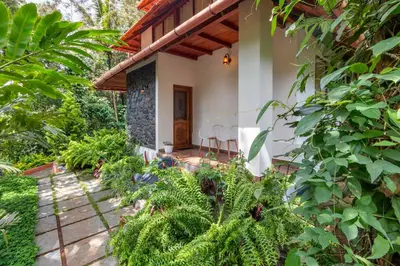 a patio of a house with plants at Serene Valley Resort Wayanad in Mananthavady
