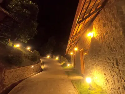 a street with lights on the side of a building at The Wild Trails Clarks Exotica , Munnar in Munnar